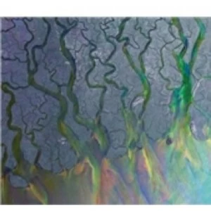 Image of An Awesome Wave CD