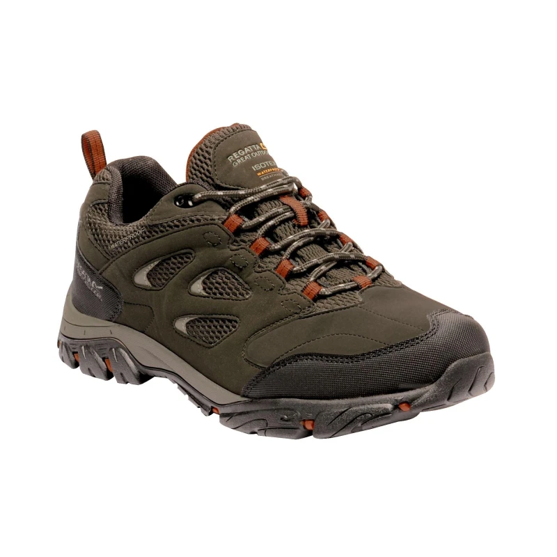Image of Regatta Holcombe IEP Low Walking Shoes - Brown Brown 6