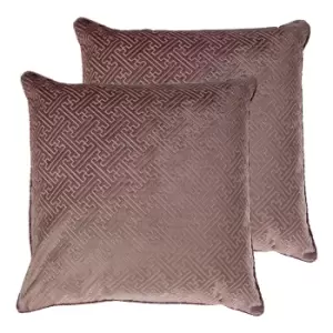 Image of Florence Twin Pack Polyester Filled Cushions