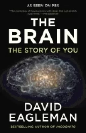 Image of brain the story of you