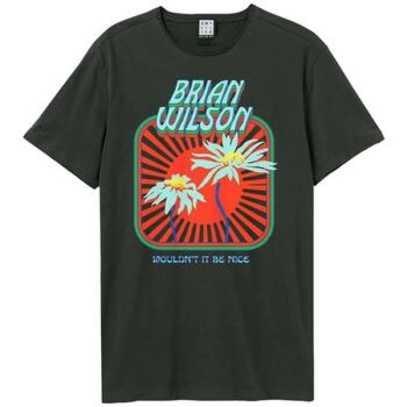 Image of Amplified Amplified Men Wouldn't Be Nice Brian Wilson T-Shirt in Charcoal Size: X-Small Charcoal XS Male 5063377078398