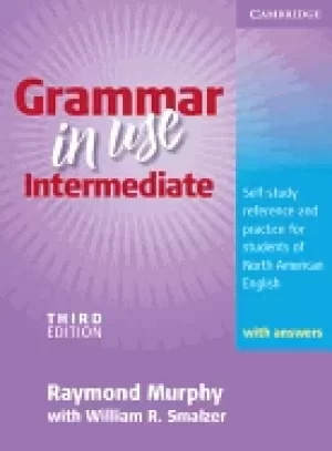 Image of grammar in use intermediate self study reference and practice for students
