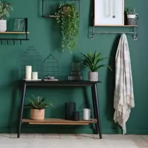 Image of Crossland Grove Potted Asplenium Fern 180X480Mm