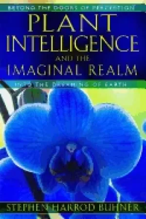 Image of plant intelligence and the imaginal realm beyond the doors of perception in