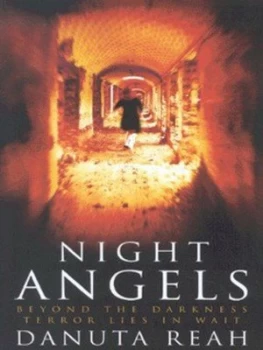 Image of Night Angels by Danuta Reah Paperback