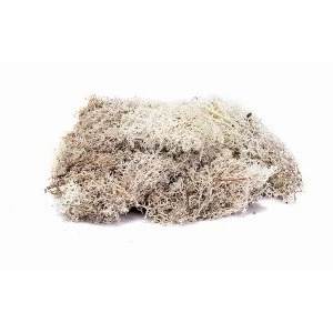 Image of Hornby R7193 Lichen - Stone Grey