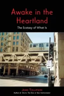 Image of Awake in the Heartland : The Ecstasy of What Is