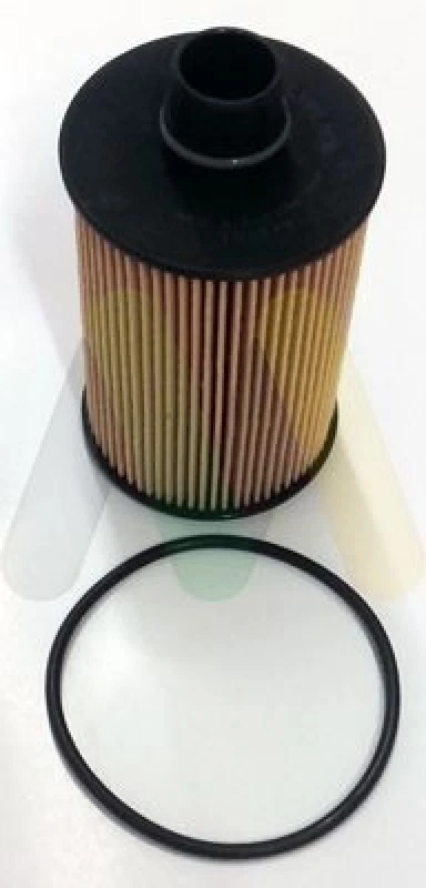 Image of MOTAQUIP Oil filter MOTAQUIP LVFL806