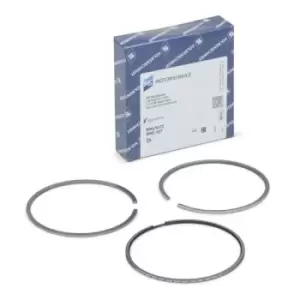 Image of KOLBENSCHMIDT Piston Ring Kit 800114910000 Piston Ring Set FIAT,IVECO,Ducato Kastenwagen (250_, 290_),Ducato Bus (250_, 290_)