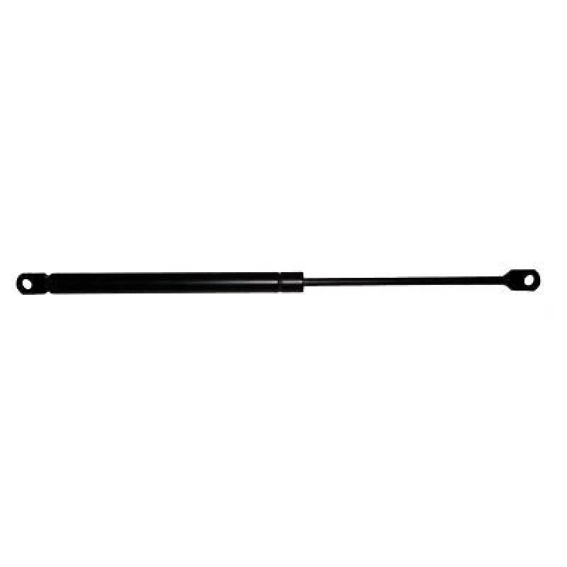 Image of Tailgate strut DIEDERICHS 9660500