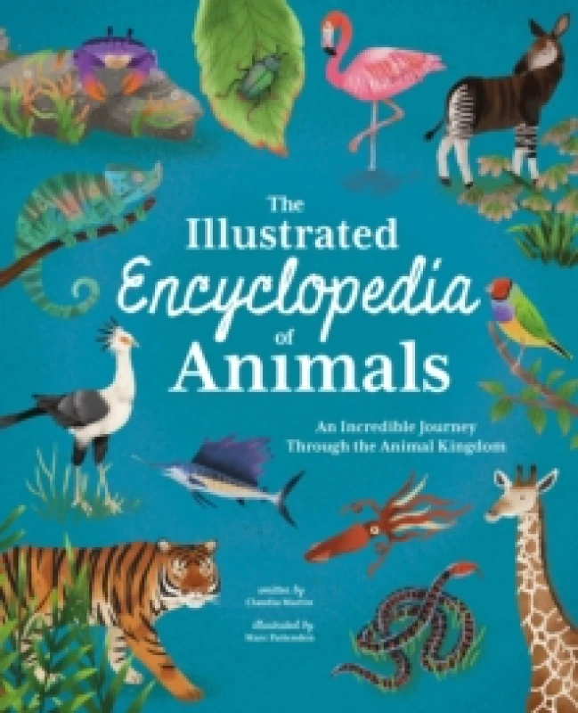 Image of The Illustrated Encyclopedia of Animals : An Incredible Journey through the Animal Kingdom Hardback