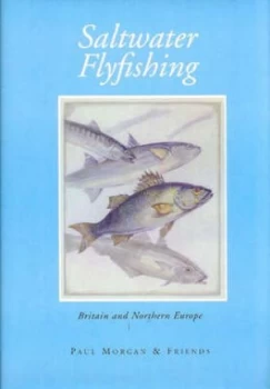 Image of Saltwater Flyfishing by Paul Morgan and Asgeir Alvestad and A. F Bell Book