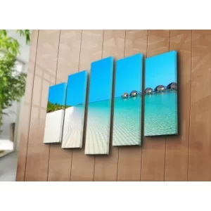 Image of 5NATPAT-24 Multicolor Decorative Canvas Painting (5 Pieces)