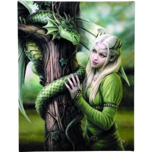 Image of Small Kindred Spirits Canvas Picture by Anne Stokes