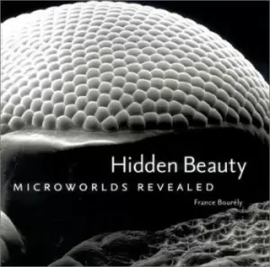 Image of Hidden beauty by France Bourly