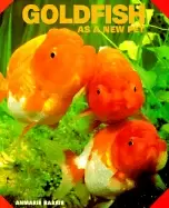 Image of goldfish as a new pet