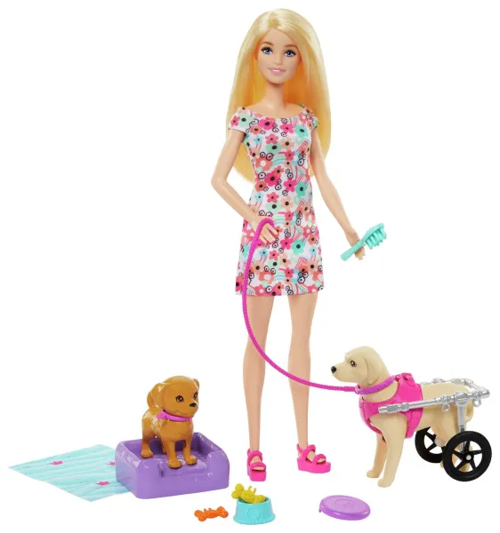 image of Barbie Walk & Wheel Doll and Wheelchair Puppy Playset