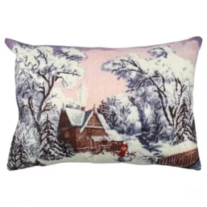 Image of A50941 Multicolor Cushion