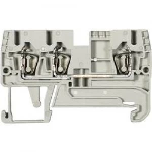 Image of Wieland 56.706.5055.0 WKFN 6 D1235 Grau 0.2 10 mm2 Grey
