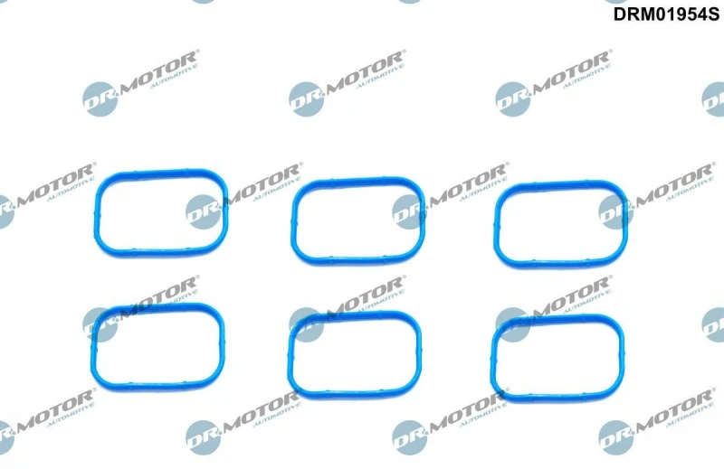Image of DR.MOTOR AUTOMOTIVE Gasket Set, intake manifold DR.MOTOR AUTOMOTIVE DRM01954S