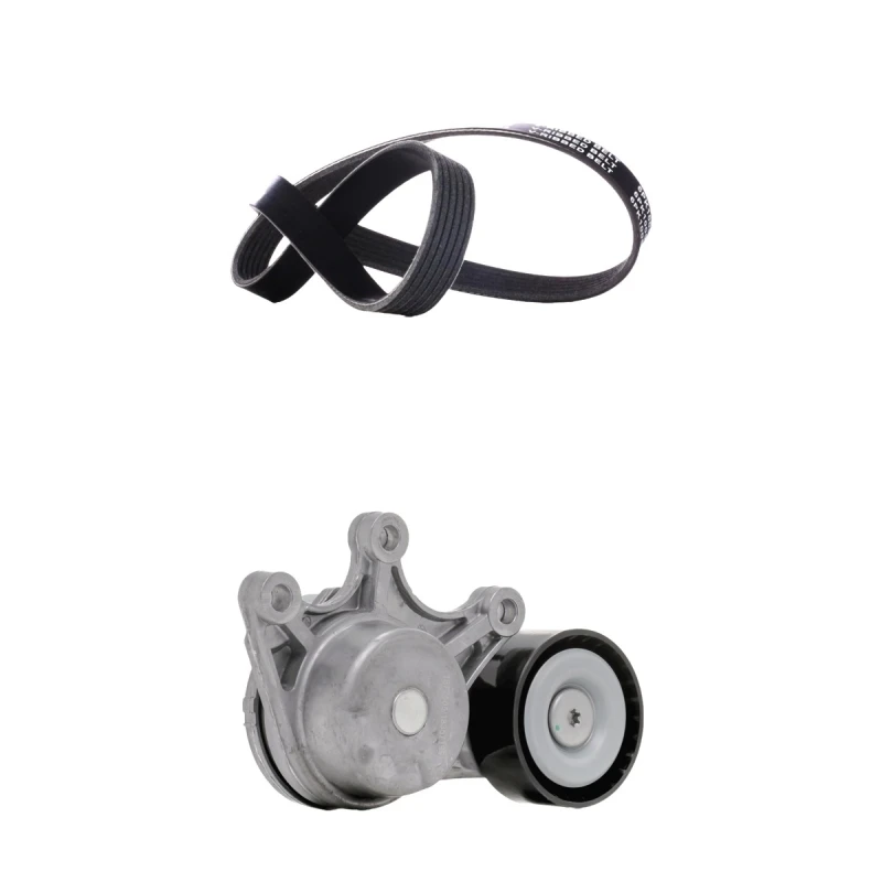 Image of RIDEX 542R1101 V-ribbed belt set V-Ribbed Belt Set (542)