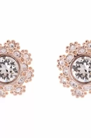 Image of Ted Baker Ladies Rose Gold Plated Seraa Crystal Daisy Lace Stud Earring TBJ1584-24-02