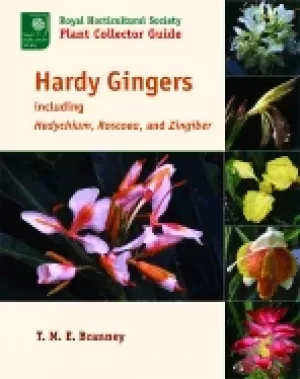 Image of hardy gingers including hedychium roscoea and zingiber