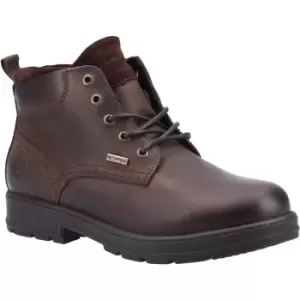 Image of Cotswold Mens Winson Lace Up Breathable Leather Ankle Boots UK Size 11 (EU 45)