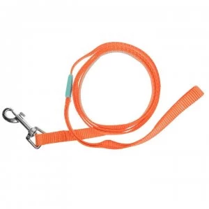 Image of Pet Brands Dog Leash 4 Ass91