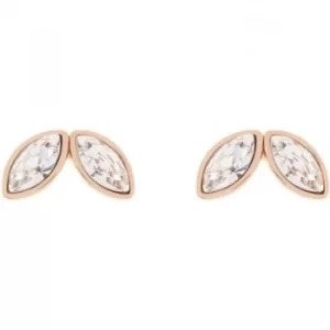 Ted Baker Ladies Rose Gold Plated Genii Geometric Bee Stud Earring