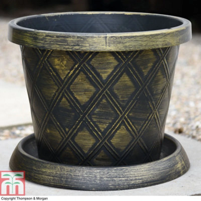 Image of Thompson & Morgan Black & Gold Patio Pot & Saucer (24 Litre) (39Cm) Large X 3