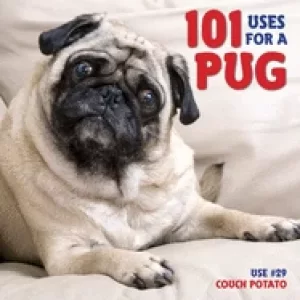 Image of 101 uses for a pug