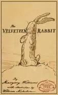 Image of velveteen rabbit the original 1922 edition in full color