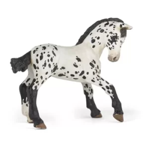Image of PAPO Horse and Ponies Black Appaloosa Foal Toy Figure, Three Years or Above, White/Black (51540)