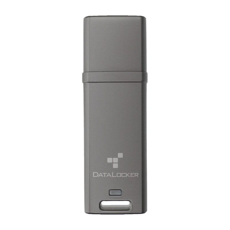 Image of DataLocker DataLocker DL GO 4GB Password-Protected, Encrypted USB-A Flash Drive AES FIPS 197 Optionally Managed DLGO-004