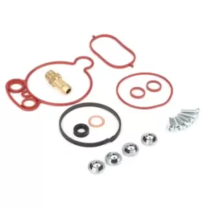 Image of ERA Vacuum pump repair kit VW,AUDI,SKODA 559500A 03G145209,03G145209C,03G145209D Tandem pump repair kit,Vacuum pump rebuild kit 03G145215A