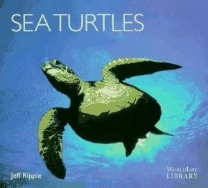 Image of Sea Turtles by Jeff Ripple Book