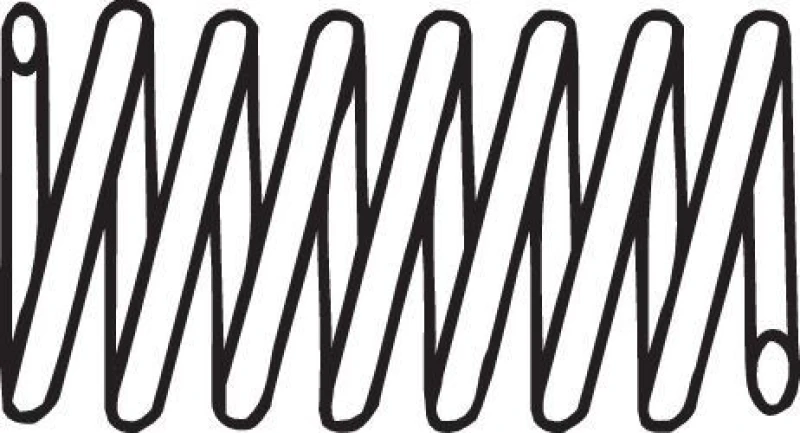Image of Spring, exhaust pipe BOSAL 251-693