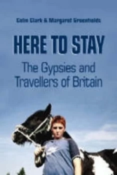 Image of Here to Stay by Colin Clark Paperback