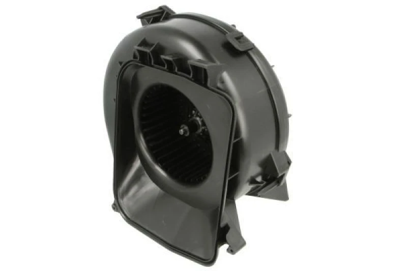 Image of THERMOTEC Blower motor THERMOTEC DDX010TT