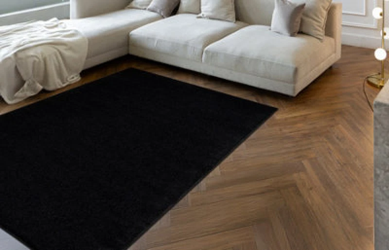 Image of RugsX Eton Plus Carpet Black, One-Color, Uniform, Plain 100X150 Cm
