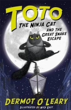 Image of Toto the Ninja Cat and the Great Snake Escape by Dermot Oleary Book