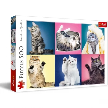 Image of Kittens Jigsaw Puzzle - 500 Pieces