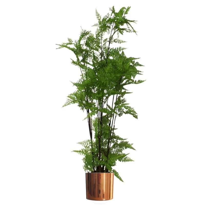 Image of Leaf Design 150cm Artificial Natural Moss Base Fern Foliage Plant with Copper Metal Plater