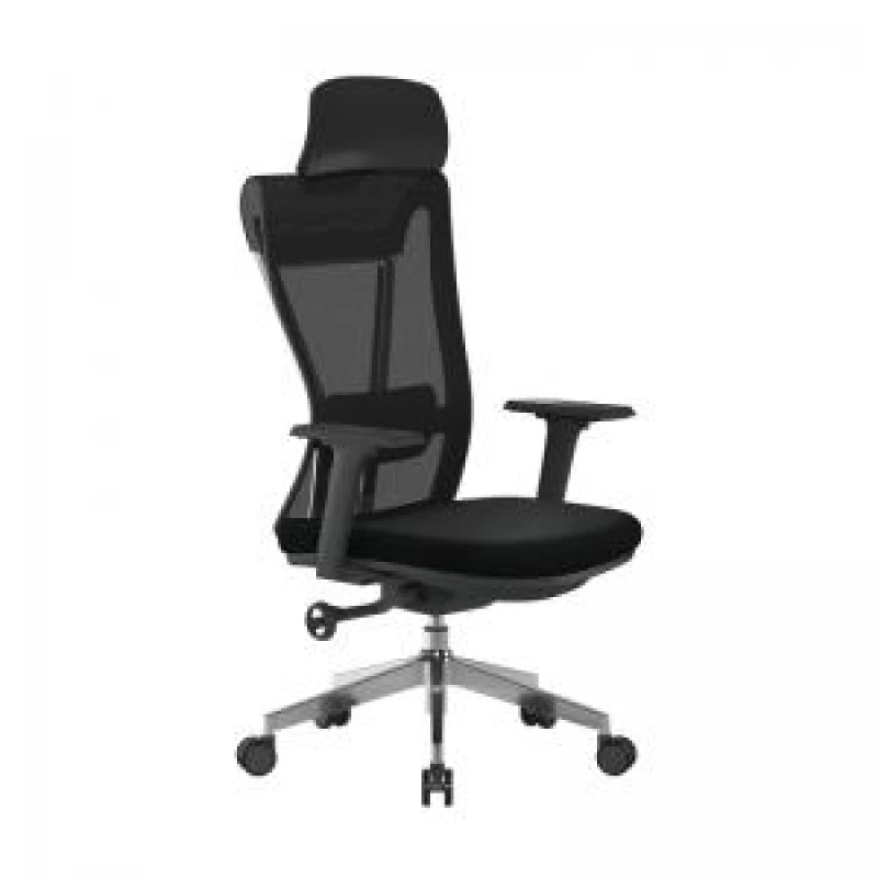 Image of Highly Adjustable Eco-Friendly Mesh Chair Certified for 24 Hour Usage NTDSBCMM355BK