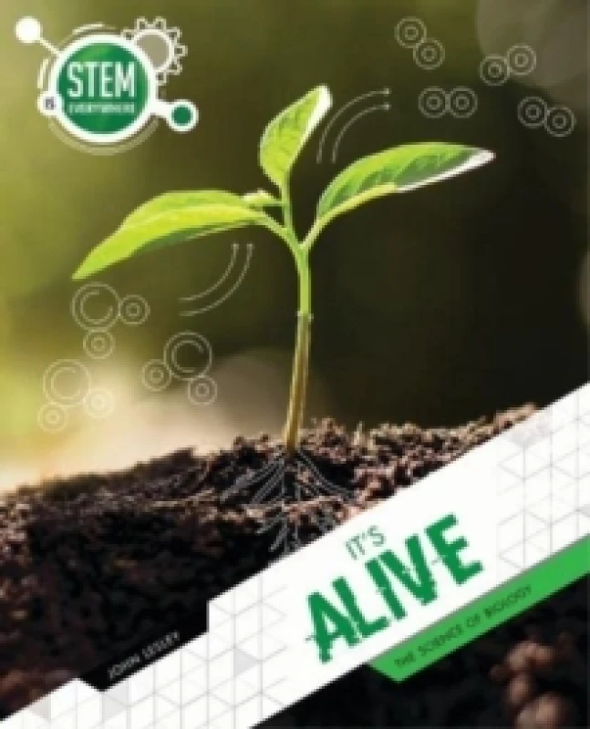 Image of It's Alive Paperback / softback
