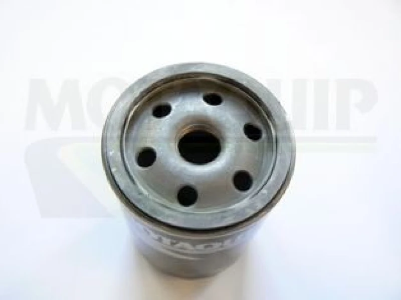 Image of MOTAQUIP Oil filter MOTAQUIP VFL117