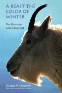 Image of beast the color of winter the mountain goat observed