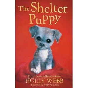 Image of The Shelter Puppy Paperback / softback 2018