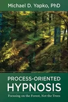 Image of Process-Oriented Hypnosis : Focusing on the Forest, Not the Trees